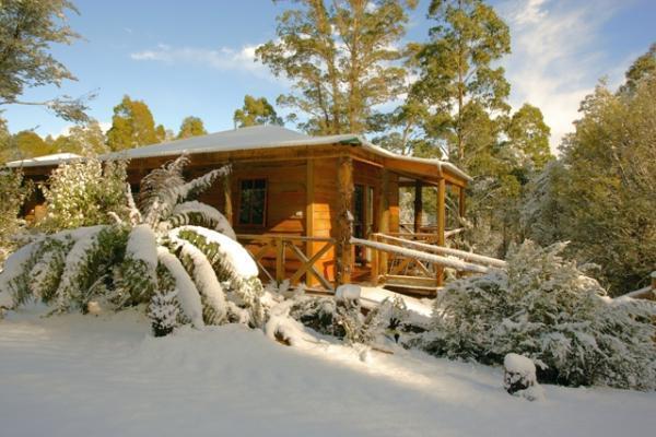 Cradle Forest Inn Moina Extérieur photo